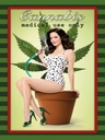Holzschild 40x30 cm Pinup Cannabis medical use only