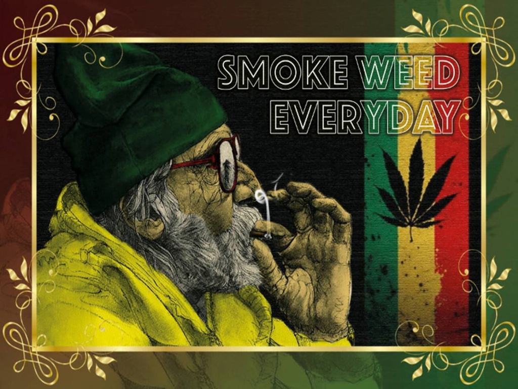 Holzschild 30x40 cm Cannabis smoke weed everyday