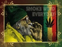 Holzschild 30x40 cm Cannabis smoke weed everyday