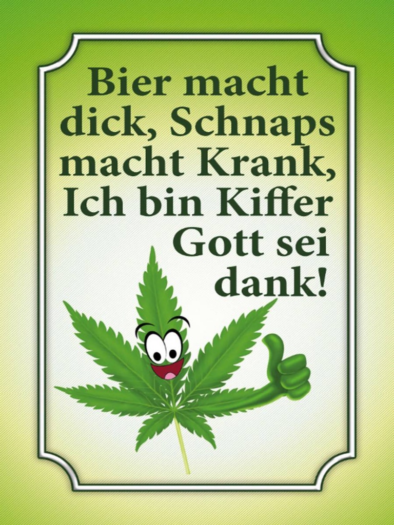 Holzschild 40x30 cm Bier dick Schnaps krank Kiffer