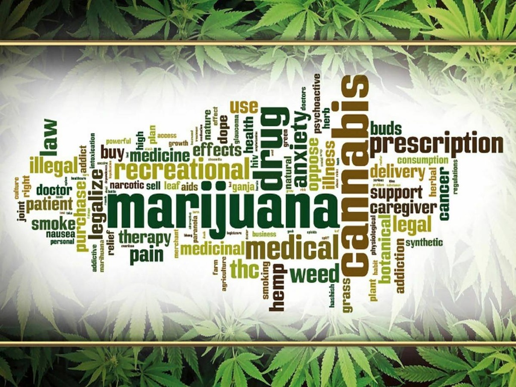 [LA-1791135-H] Holzschild 30x40 cm Cannabis Marijuana therapy pain smoke