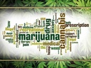 Holzschild 30x40 cm Cannabis Marijuana therapy pain smoke