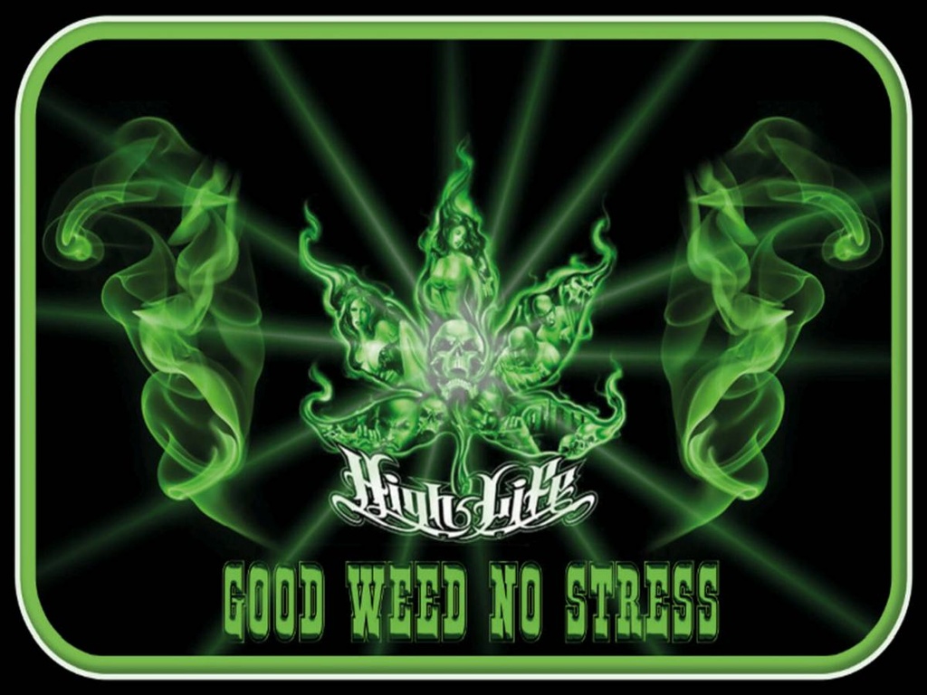 Holzschild 30x40 cm High Life good weed no stress