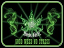 Holzschild 30x40 cm High Life good weed no stress