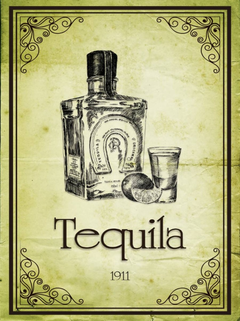 Holzschild 40x30 cm Alkohol 1911 Tequila