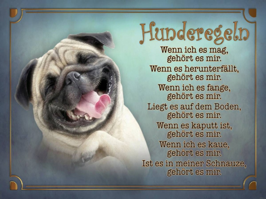 Holzschild 30x40 cm Hunderegeln wenn ich es mag