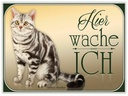 Holzschild 30x40 cm Katze American Shorthair hier wache