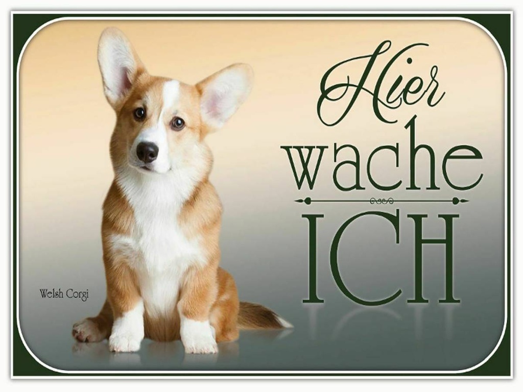 Holzschild 30x40 cm Hund Chihuahua hier wache ich