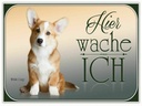 Holzschild 30x40 cm Hund Chihuahua hier wache ich