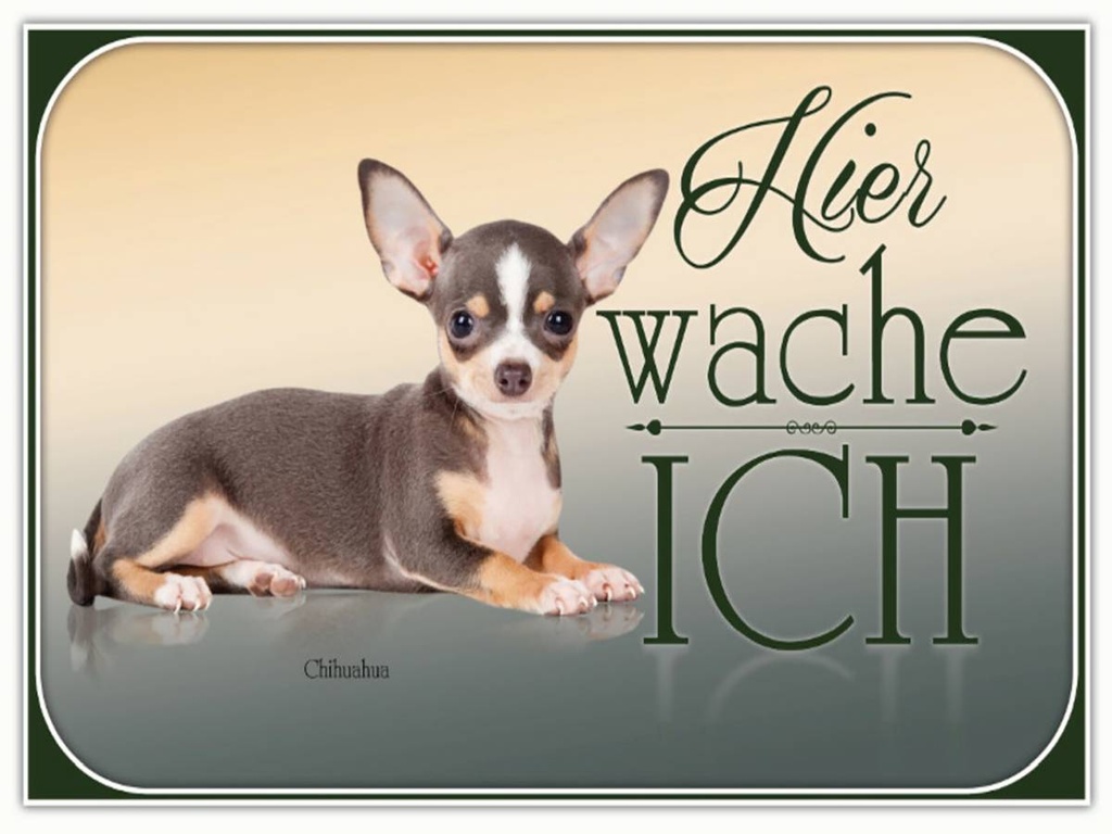 Holzschild 30x40 cm Hund Welsh Corgi hier wache ich