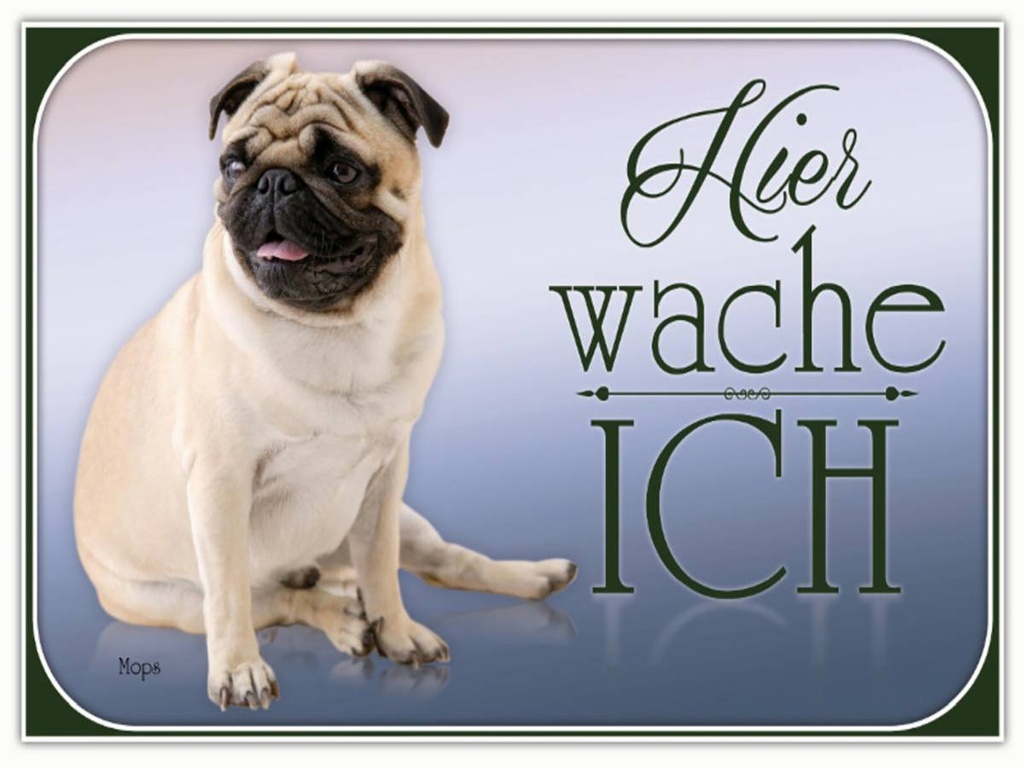 Holzschild 30x40 cm Hund Mops hier wache ich