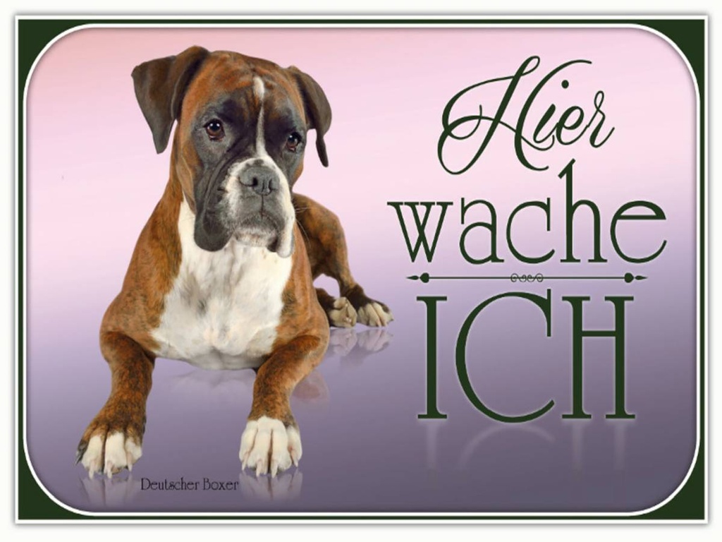 Holzschild 30x40 cm Hund Deutscher Boxer hier wache ich