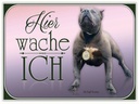 Holzschild 30x40 cm Hund Pit Bull Terrier hier wache ich