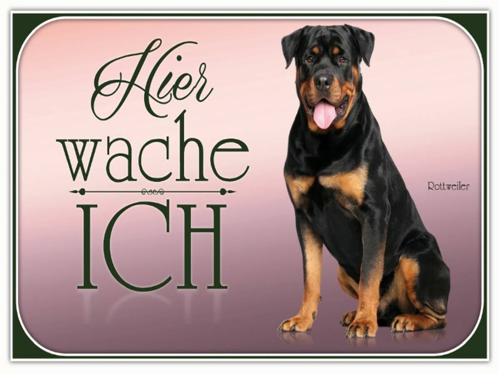 Holzschild 30x40 cm Hund Rottweiler hier wache ich