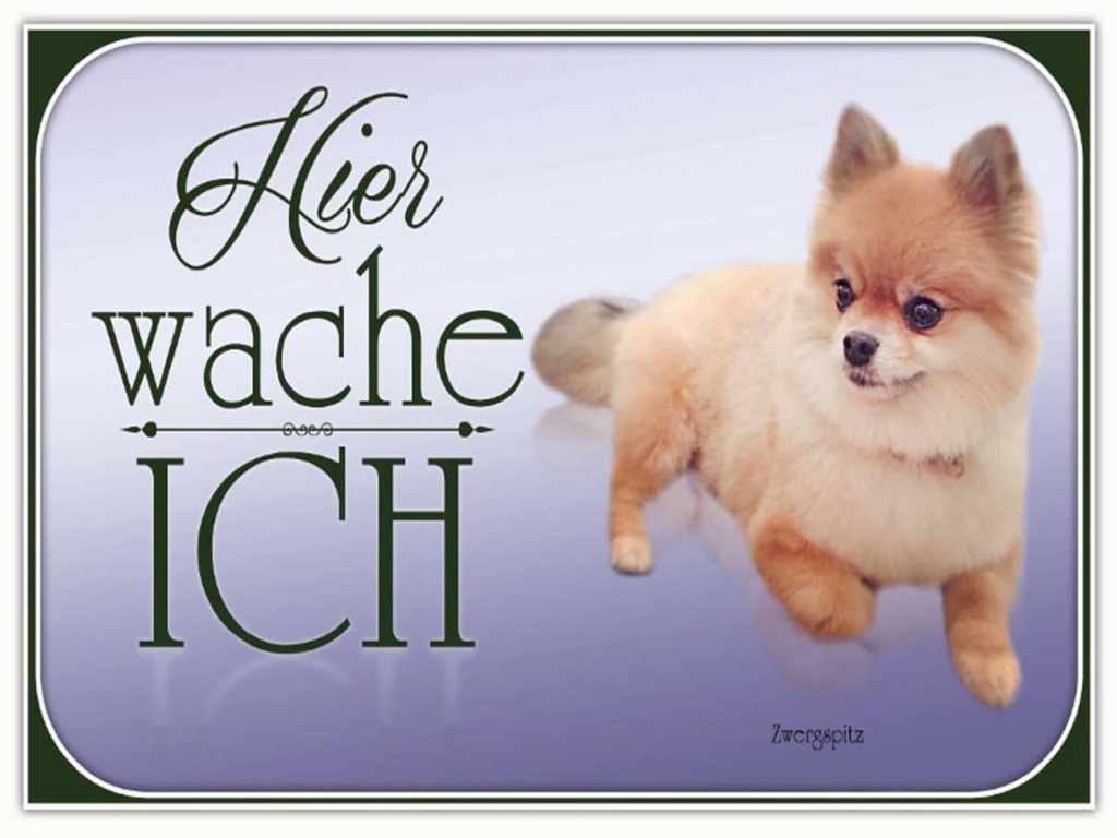 Holzschild 30x40 cm Hund Zwergspitz hier wache ich