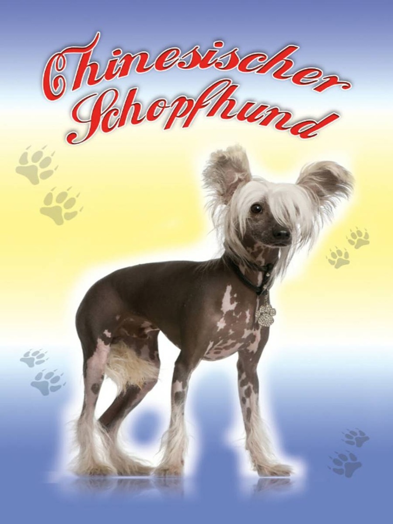 Holzschild 40x30 cm Hund Chinesischer Schopfhund