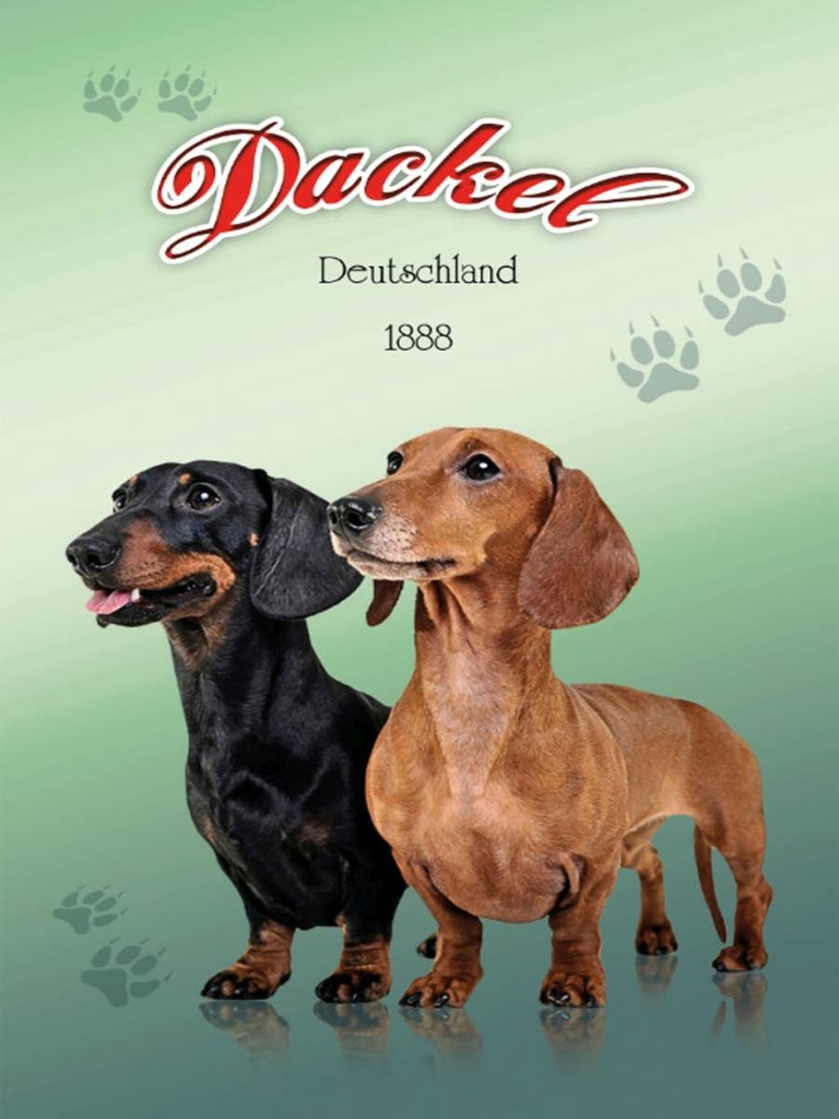 Holzschild 40x30 cm Hund Dackel Deutschland 1888