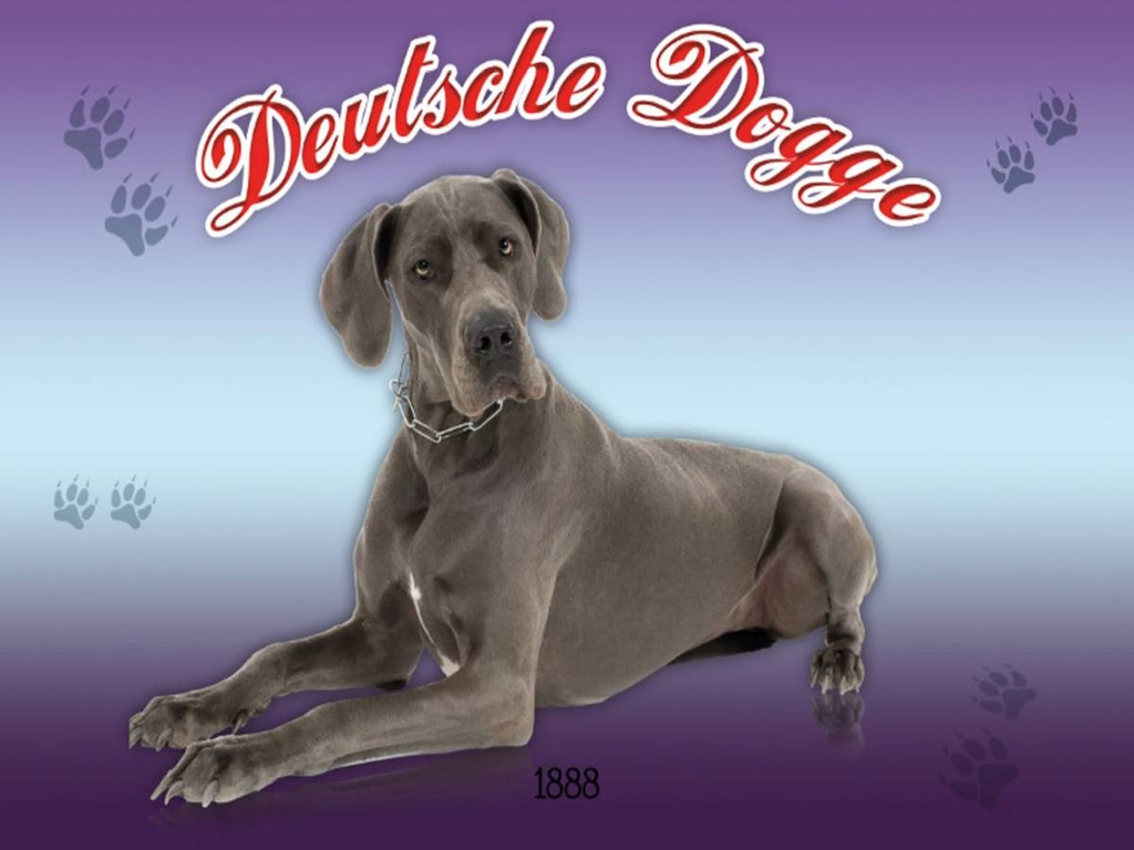 Holzschild 30x40 cm Hund Deutsche Dogge 1888
