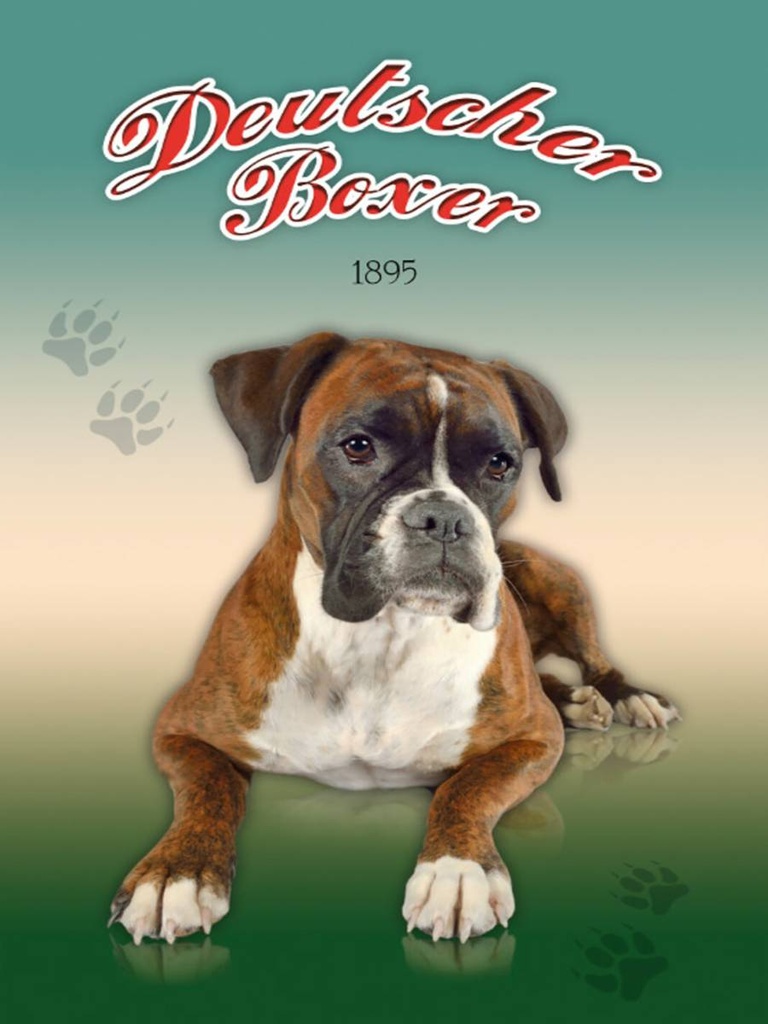 Holzschild 40x30 cm Hund Deutscher Boxer 1895
