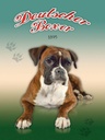 Holzschild 40x30 cm Hund Deutscher Boxer 1895