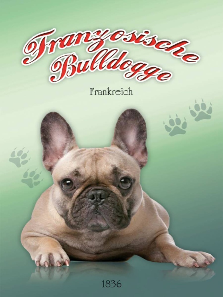 [LA-1791179-H] Holzschild 40x30 cm Hund Französische Bulldogge