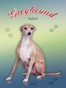 Holzschild 40x30 cm Hund Greyhound England