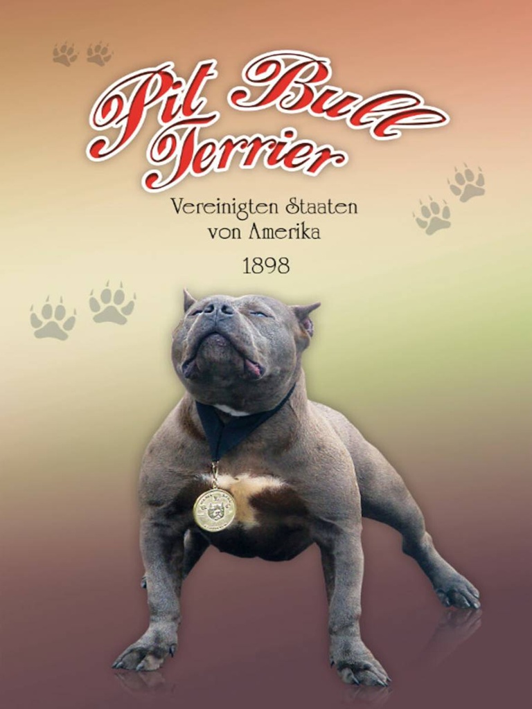 Holzschild 40x30 cm Hund Pit Bull Terrier Amerika 1898
