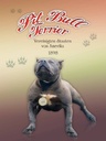 Holzschild 40x30 cm Hund Pit Bull Terrier Amerika 1898