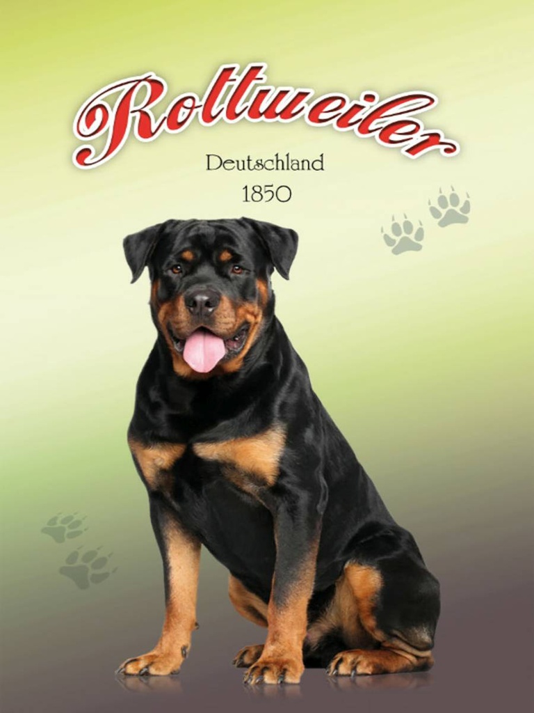 Holzschild 40x30 cm Hund Rottweiler Deutschland 1850