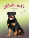 Holzschild 40x30 cm Hund Rottweiler Deutschland 1850