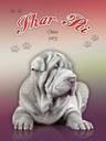 Holzschild 40x30 cm Hund Shar-Pei China 1972