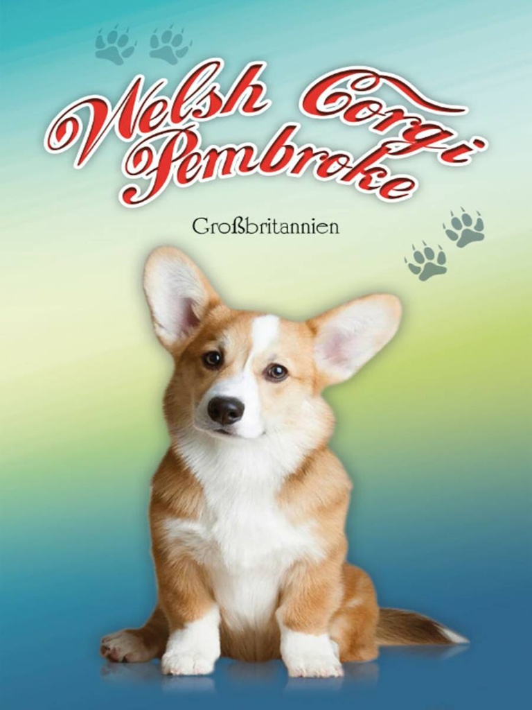 Holzschild 40x30 cm Hund Welsh Corgi Pembroke