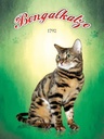 Holzschild 40x30 cm Katze Bengalkatze 1792