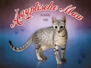 Holzschild 30x40 cm Katze Ägyptische Mau Schweiz 1988