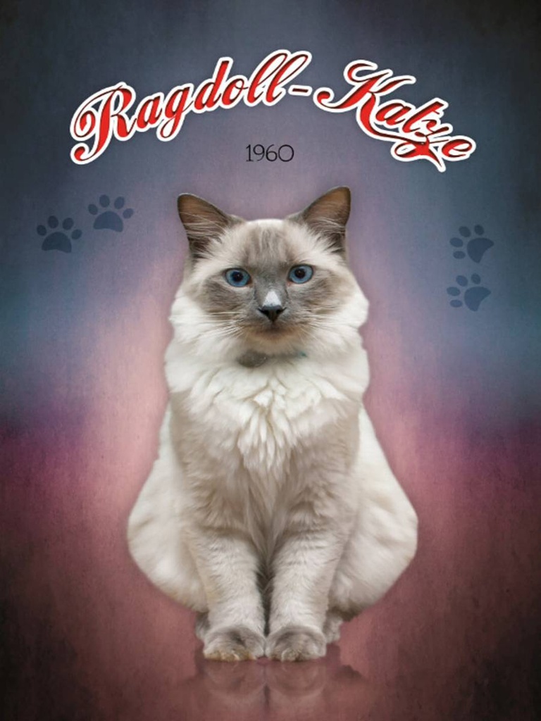 Holzschild 40x30 cm Katze Ragdoll Katze 1960