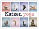 Holzschild 30x40 cm Katze Katzen Yoga