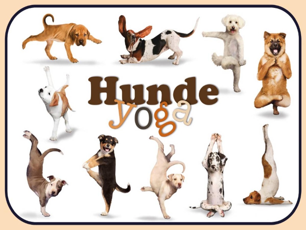 Holzschild 30x40 cm Katze Hunde Yoga