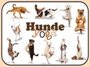 Holzschild 30x40 cm Katze Hunde Yoga