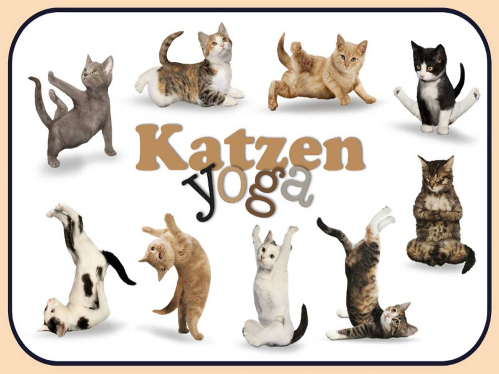 Holzschild 30x40 cm Katze Katzen Yoga