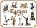Holzschild 30x40 cm Katze Katzen Yoga