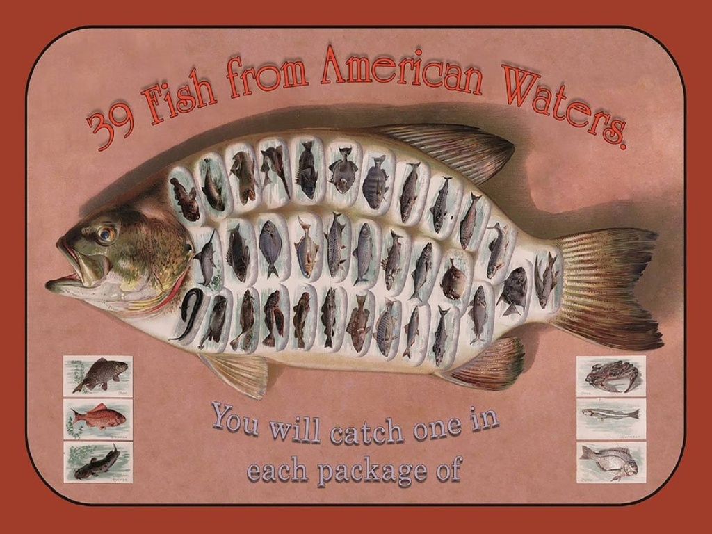 [LA-1791208-H] Holzschild 30x40 cm Fisch 39 Fish from american Waters