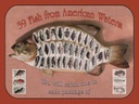 Holzschild 30x40 cm Fisch 39 Fish from american Waters