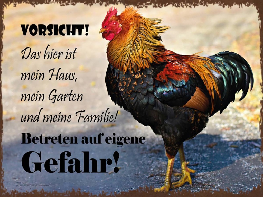 Holzschild 30x40 cm Huhn Vorsicht das mein Haus