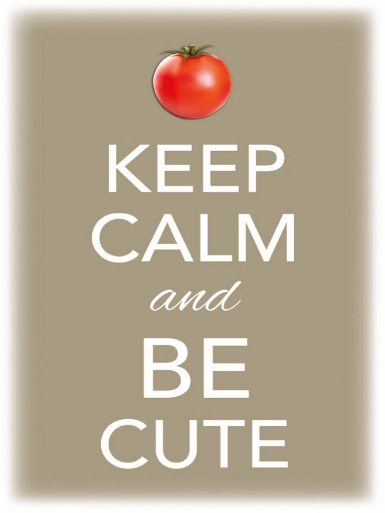 Holzschild 40x30 cm Keep Calm and be cute Tomate