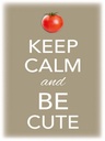 Holzschild 40x30 cm Keep Calm and be cute Tomate