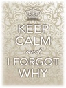 Holzschild 40x30 cm Keep Calm and i forgot why