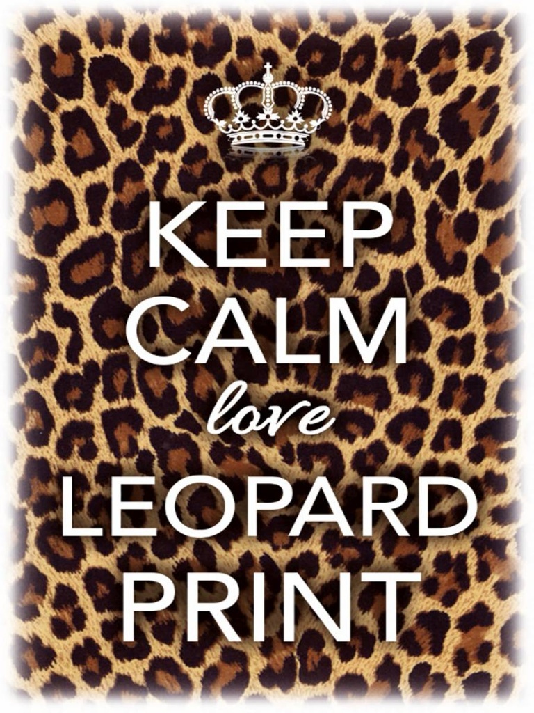 Holzschild 40x30 cm Keep Calm love leopard print