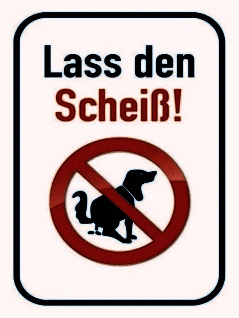 Holzschild 40x30 cm Hund lass den Scheiß