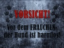 Holzschild 30x40 cm Vorsicht Frau Hund harmlos