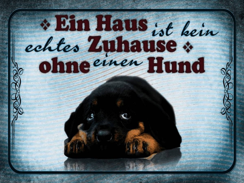 Holzschild 30x40 cm kein echtes Zuhause ohne Hund